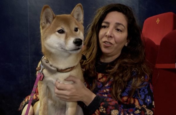 Στο Παρίσι, οι τετράποδοι φίλοι απολαμβάνουν την «λαίδη και τον αλήτη» στη μεγάλη οθόνη